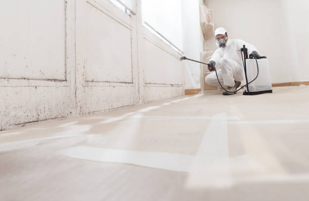 24/7 Emergency Mold Inspection experts in Melissa, TX